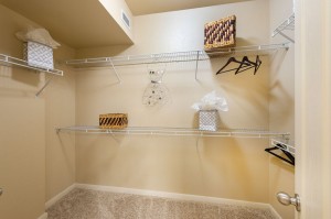 One Bedroom Apartments for Rent in Katy, TX - Bedroom Walk-In Closet (2) 